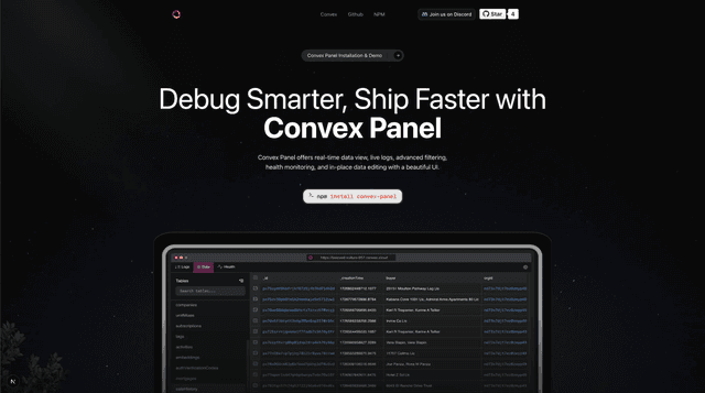 Convex Dev Panel